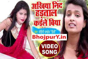 Mohini Pandey Image